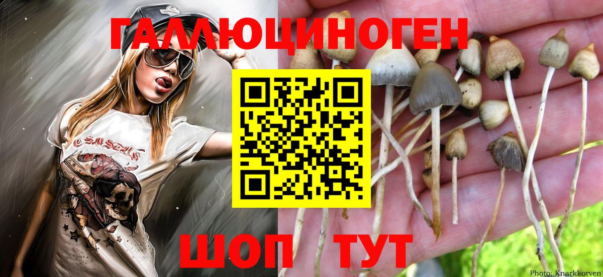 Нефтекамск  Галлюциногенные грибы мухоморы  Псилоцибиновые грибы мицелий  Вход с VPN 